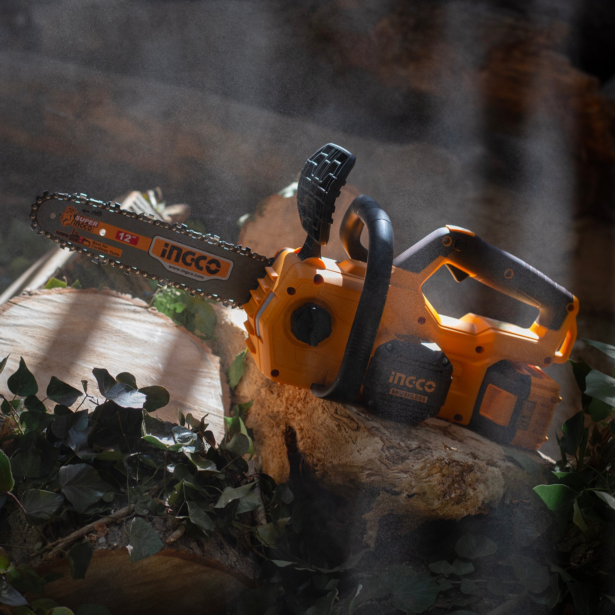 INGCO Chainsaw in a barn